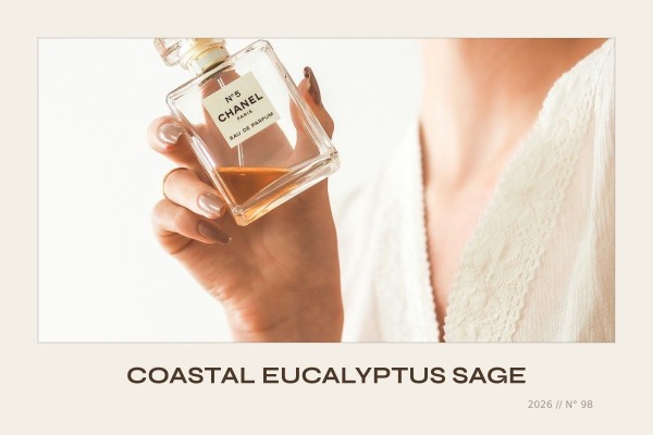 Coastal - Eucalyptus Sage
