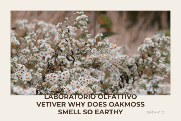 Laboratorio Olfattivo Vetiver why does oakmoss smell so earthy