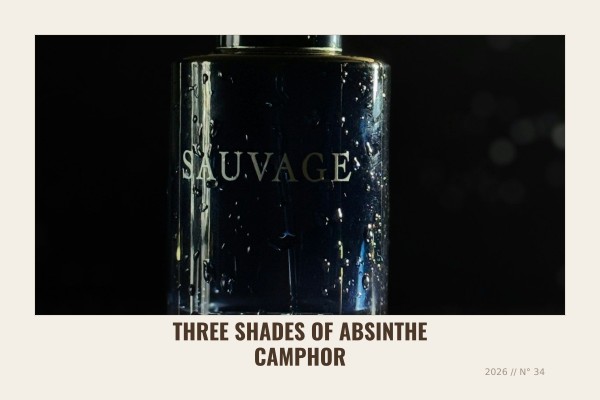 Three - Shades of Absinthe Camphor